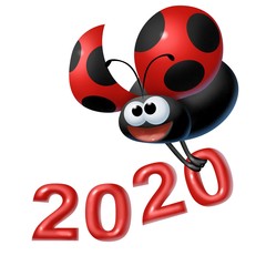 Fototapeta premium coccinella 2020