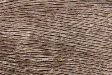 Old wood texture background. wood surface eroded.