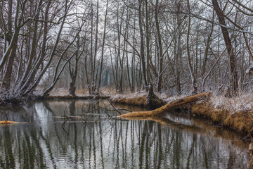 ruhiger bach im winter