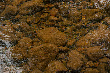 Stones in river.Stone and water.