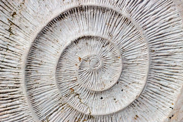 Spiral texture in Monument in Portimão Algarve Portugal