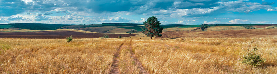 Panoramic landscape of central Russia agricultural countryside with hills and country road. Summer landscape of the Samara valleys. Russian countryside. High resolution file for large format printing. - obrazy, fototapety, plakaty