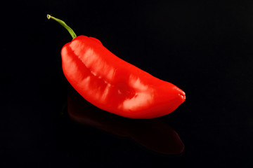 One red hot chili pepper isolated on black. On a black glossy background with real reflection.