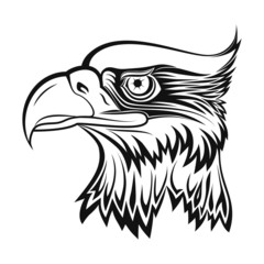 Eagle head in black and white with side view