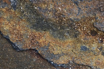 natural background texture