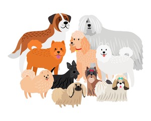 Cartoon character loing hair big and small dogs. Vector pets isolated on white background. Illustration of animal dog cute, pets friends