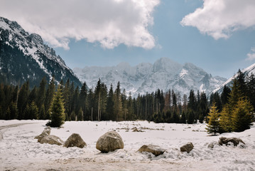 Late Autumn season in mountains. Scenic mountain forest. Tatra mountains. Poland