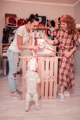 Red-haired woman joining her friend while playing with dogs