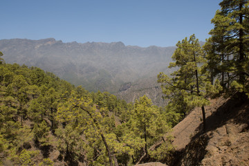 landscape in the mountains