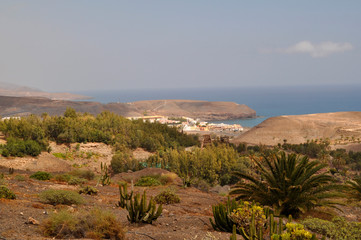 Savannah landscape view from Oasis Park with the mountains and ocean on background. Fuerteventura, Canary Islands, Spain