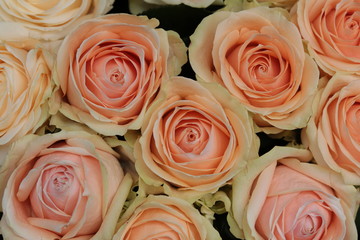 Bouquet de roses naturelles
