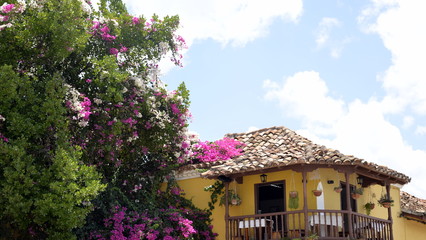 TRINIDAD