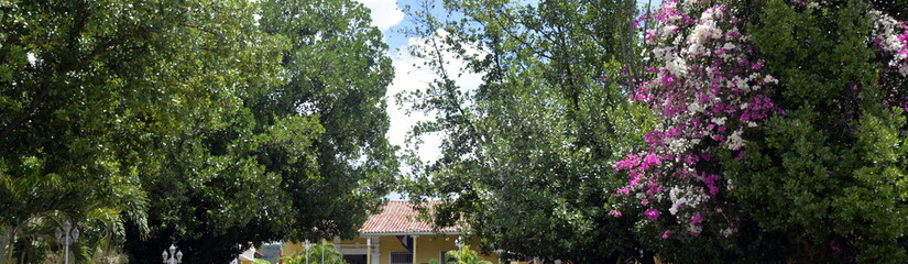 TRINIDAD