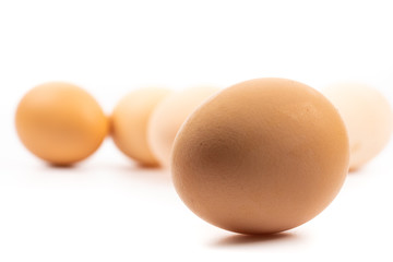 chicken eggs on white background