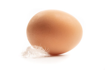 chicken egg and feather on white background