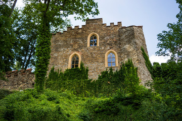 Fototapeta na wymiar An old castle stone walls covered in plants