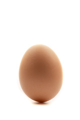 chicken eggs on white background
