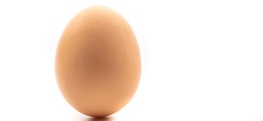 chicken eggs on white background