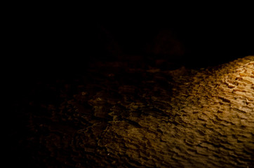 Shenandoah Caverns formations stalactite, pillar, stalagmite