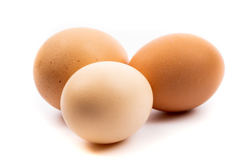 chicken eggs on white background