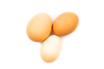 chicken eggs on white background
