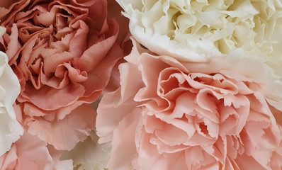 pink petal flowers background wallpaper