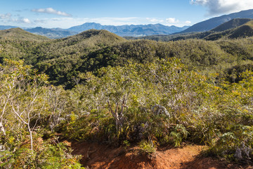 tropical rainforest on mountain ranges in Grande Terre, New Caledonia