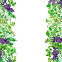 Fototapeta premium Watercolor lush banner of herbal seasonings and spices isolated on white background. Flower pattern for beautiful decoration of wedding invitations, greeting cards, posters, save date, with space for 