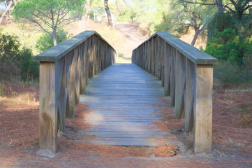 A wooden bridge across a pinewood in Huelva, Spain