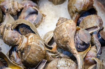 Seafood on Asian market