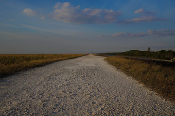 Florida Everglades gravel path