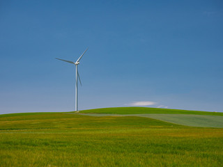 Fototapeta premium Wind turbines in the fields of Castilla y Leon in Spain.