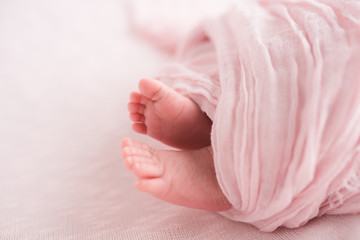 Obraz na płótnie Canvas Closeup view of newborn baby feet wrapped in pink