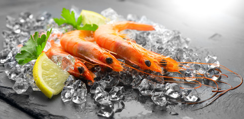 Shrimps. Fresh prawns on a black background. Seafood on crashed ice with herbs. Healthy food, cooking