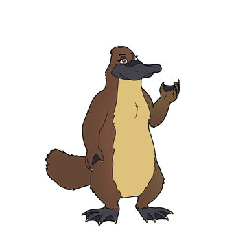 un dibujo de ornitorrinco
