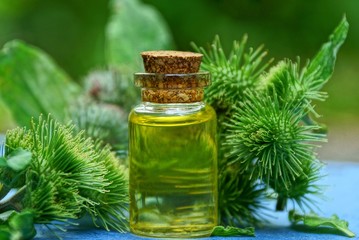 small glass bottle with yellow oil and green buds and burdock leaves on the table