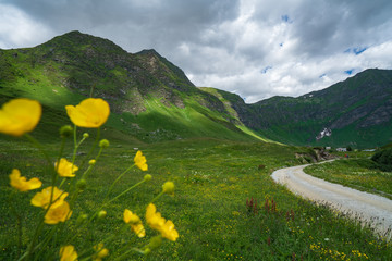 mountain landscape with flowers © Buebelina
