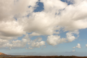 field and blue sky white clouds