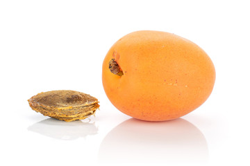 One whole meaty fresh deep orange apricot with a stone isolated on white background