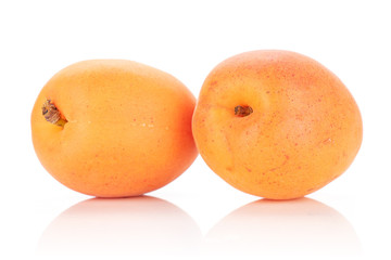 Group of two whole velvety fresh deep orange apricot isolated on white background