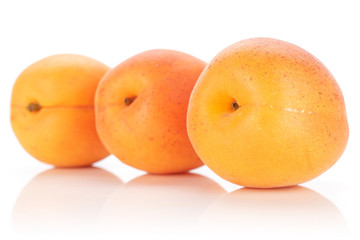 Group of three whole fresh deep orange apricot in a row isolated on white background
