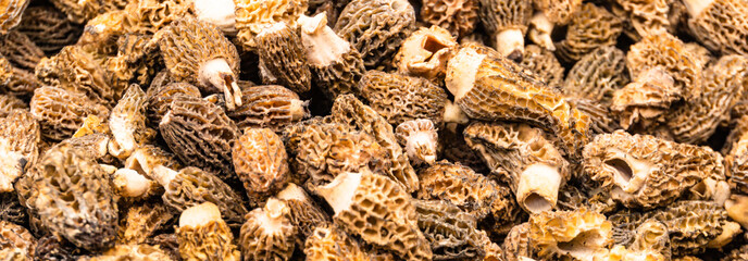morel mushrooms for sale at a farmers market