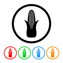 Corn icon vector corn on the cob illustration design element with four color variations
