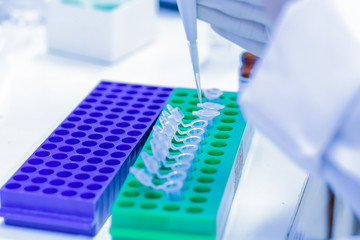 Scientist pipette dropping a sample into a test microtiter tube.