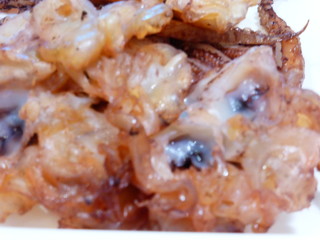 The squid food