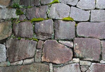 Details of the stone wall covered with moss during rain in the Nijo castle in Kyoto, Japan