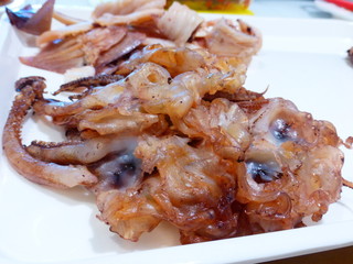 The squid food
