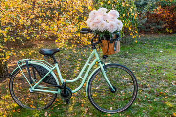 Fototapeta premium City bike in the park. Around a lot of trees. Autumn, sunny afternoon.