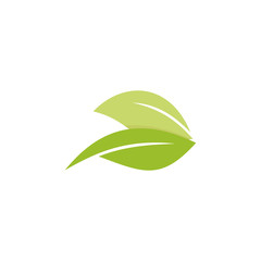 green leaf nature vector logo.
