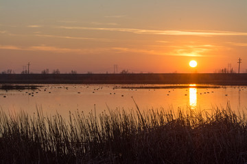 Sun setting over the wetlands
